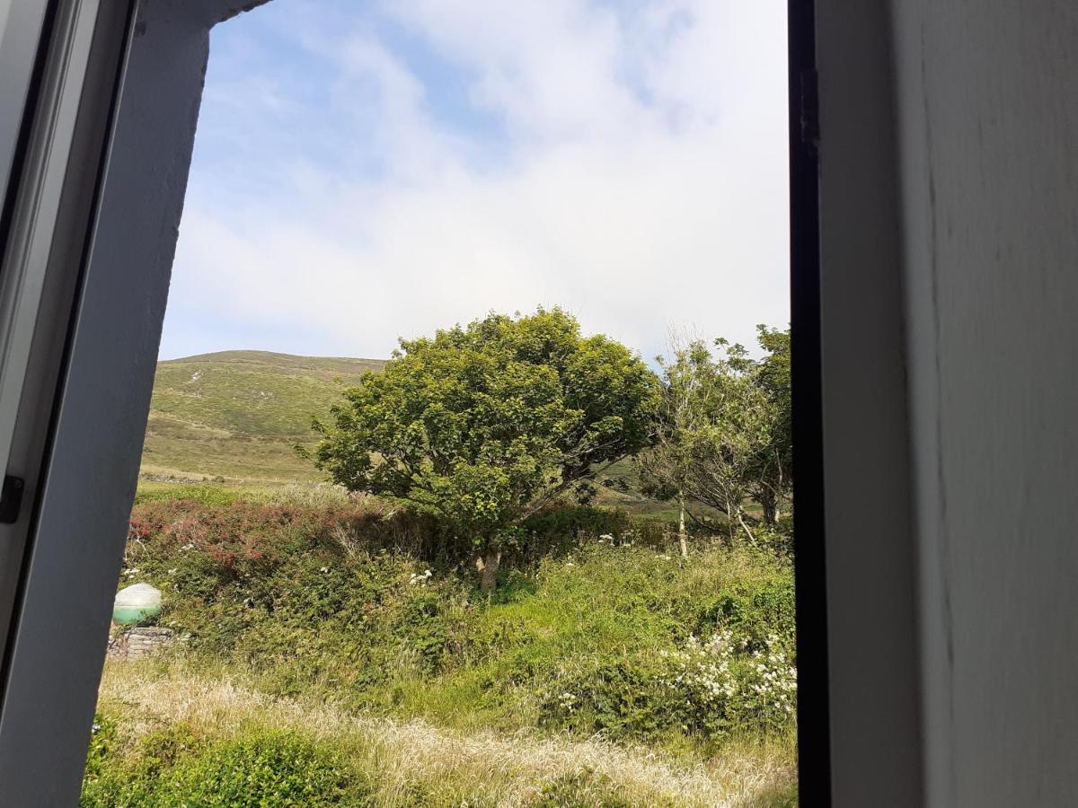 Gleann Loic Farmhouse Dingle Exterior photo